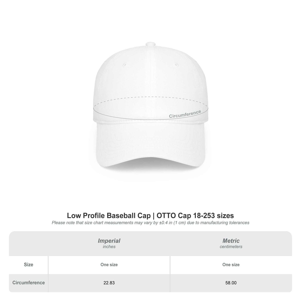 Apolitical Apparel Low Profile Baseball Cap in silver scales design, unstructured 100% cotton twill with adjustable Velcro closure.