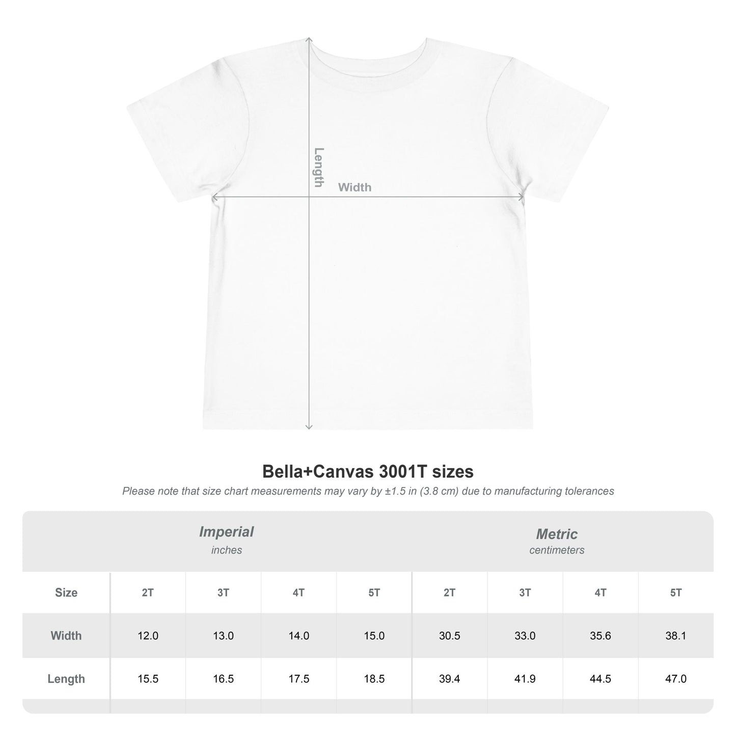 American 250th Anniversary Toddler Short Sleeve Tee (Backyard Boys)