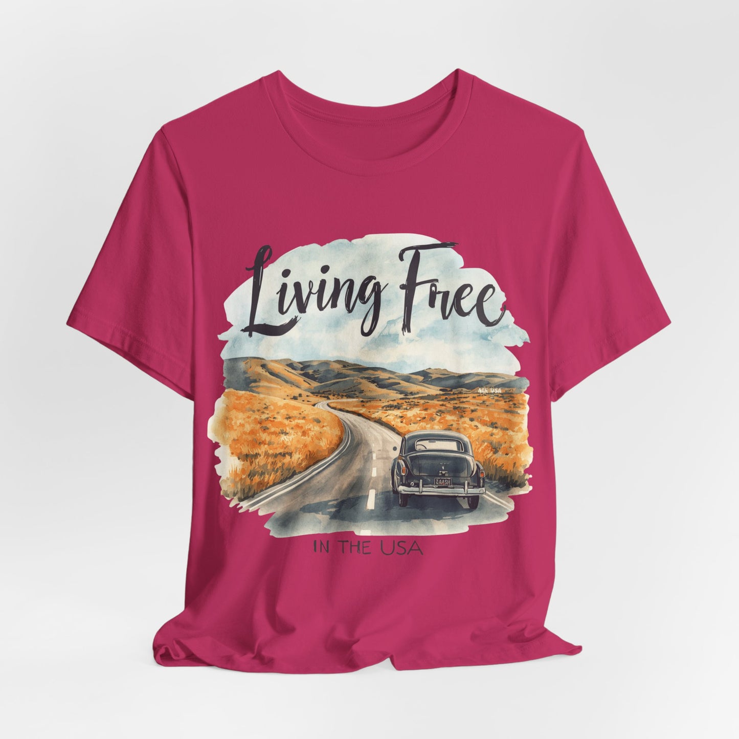 Living Free in the USA (Open Road)
